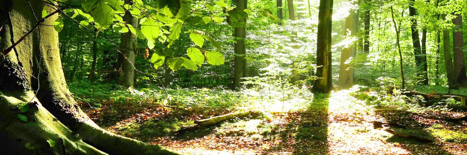 AlseedBaker's profile banner image