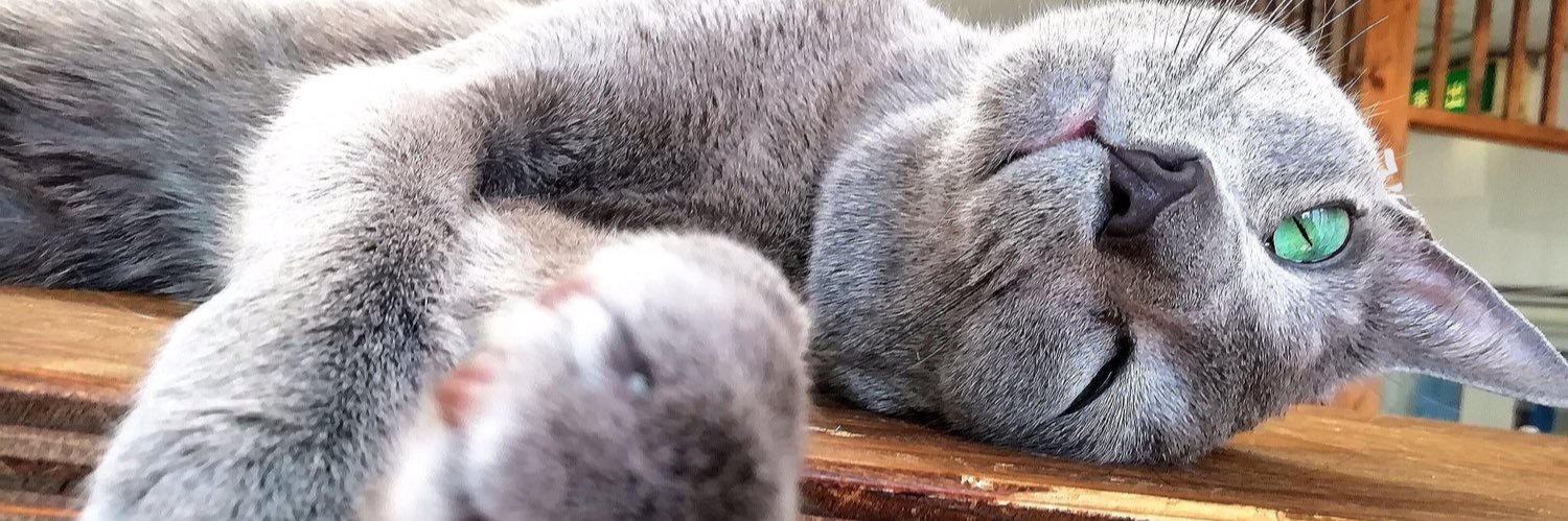 あいぱこ🎨 banner