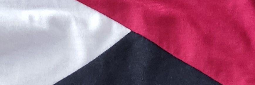 Vîktør ⚕️ LeVitto09 banner