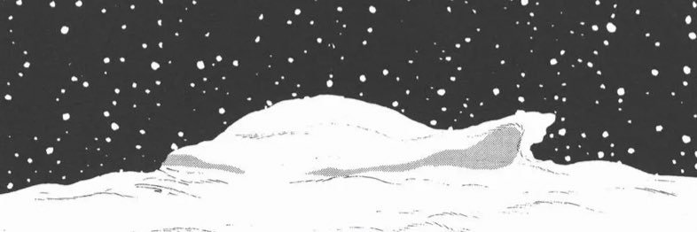 Castamolli's profile banner image