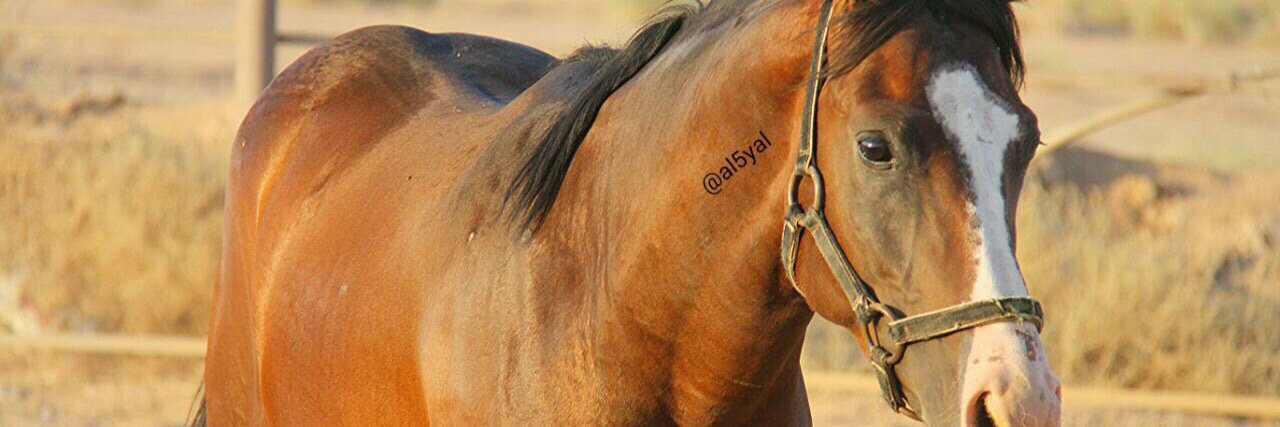 Aa888Ff's profile banner image