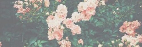 نیلـــــــوفر banner