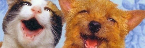 _pets__'s profile banner image