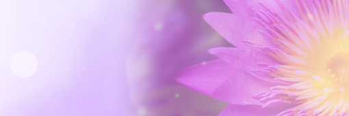 My_Menopause's profile banner image