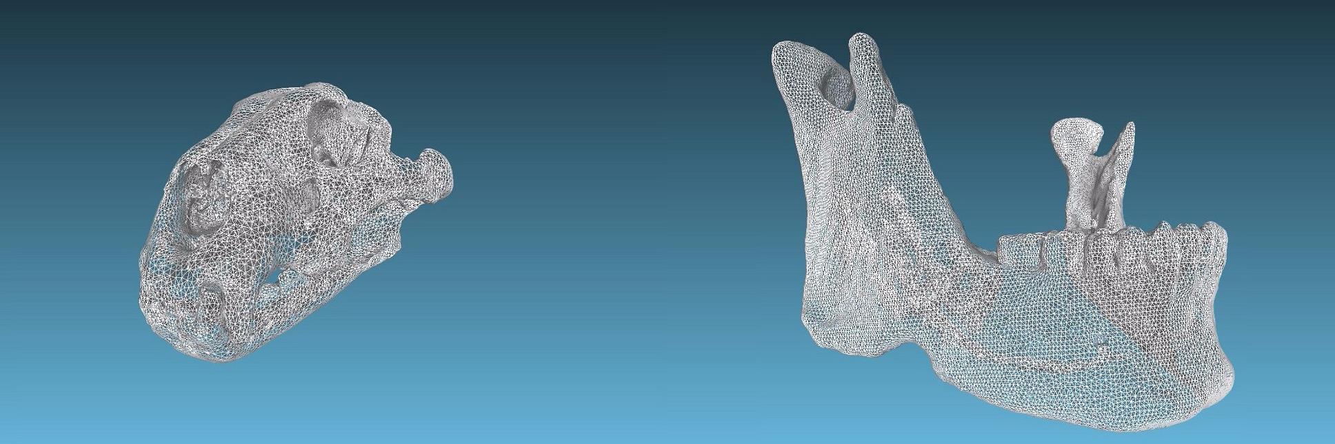 m3Dmodels's profile banner image