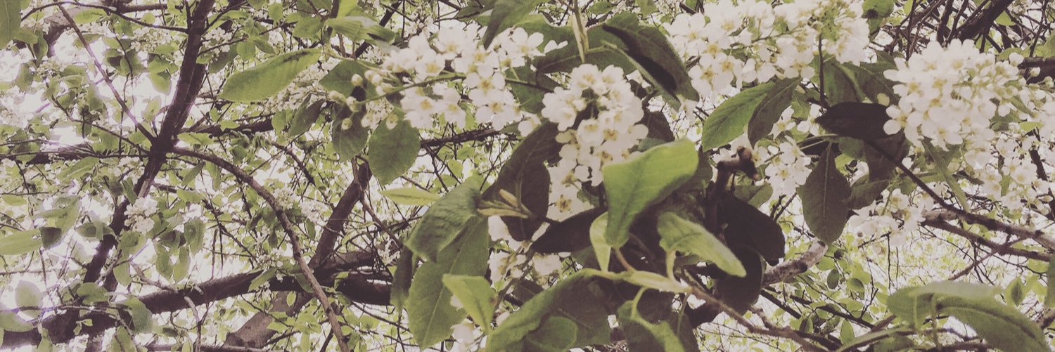 stu_mcdou's profile banner image
