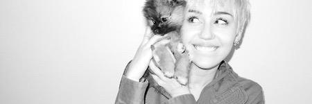 M. banner