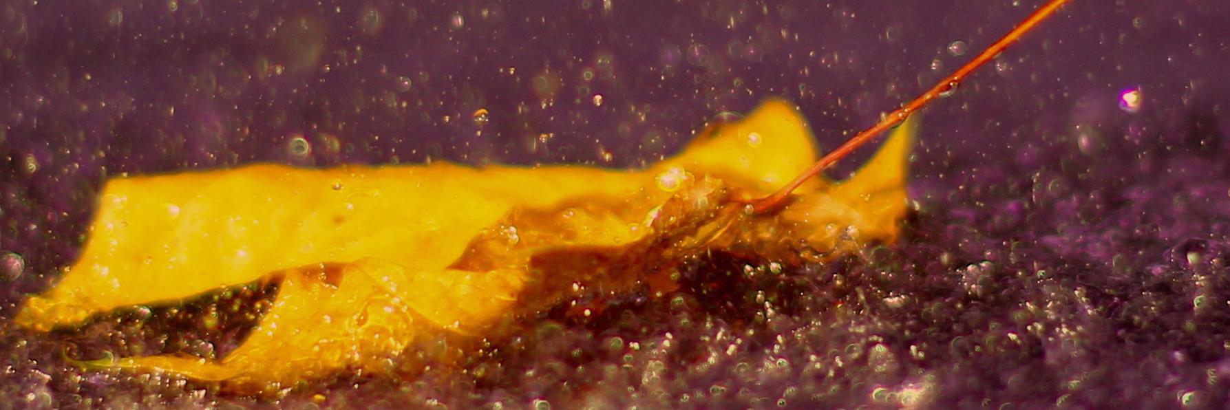 julualexander's profile banner image