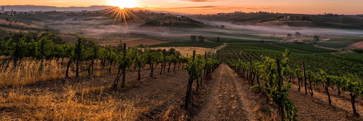 Shawn Atkisson banner