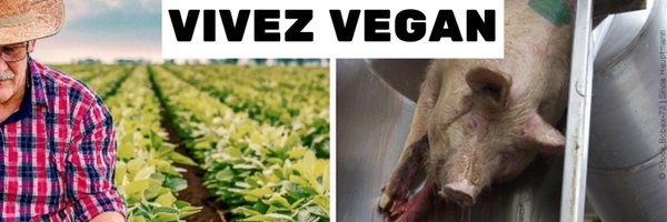 PETA_France Profile Banner