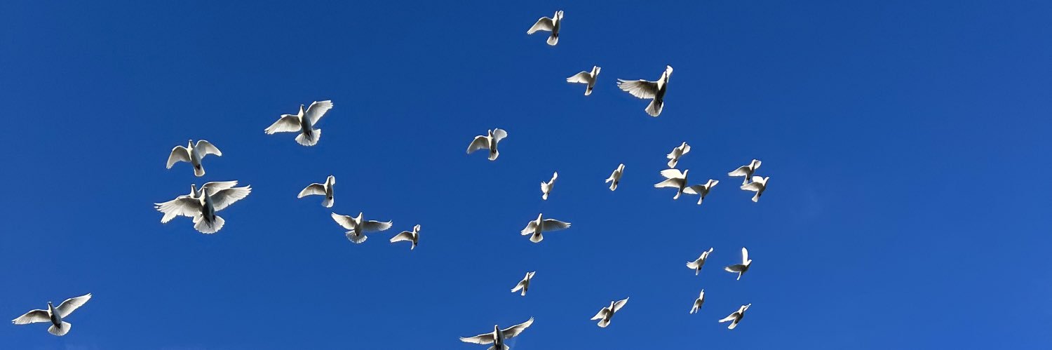 Richard Warner banner