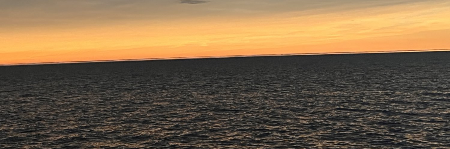 Melissa Heidt banner