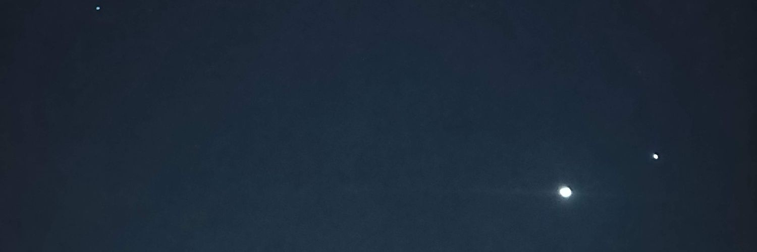 arushim08's profile banner image