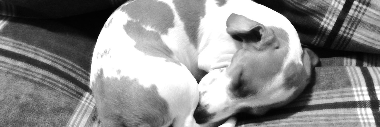 the_NightMer91's profile banner image