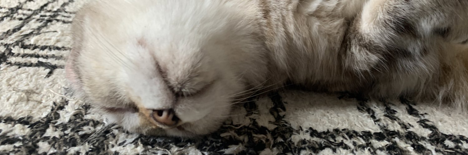 hsahsie's profile banner image