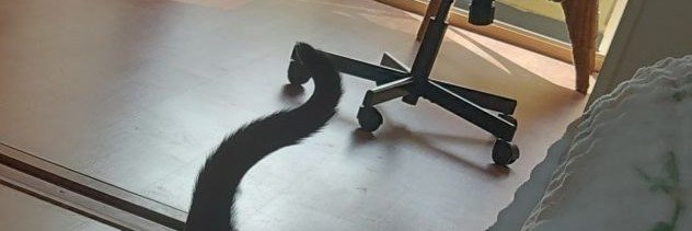 Crochetfreak73's profile banner image