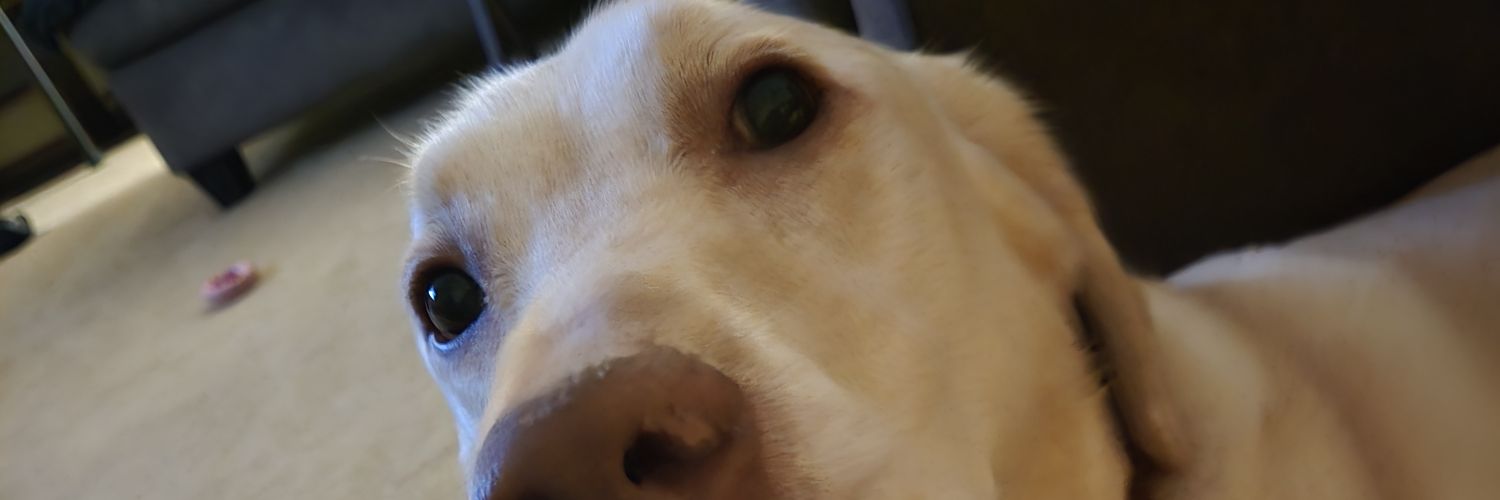 crpyboy6's profile banner image