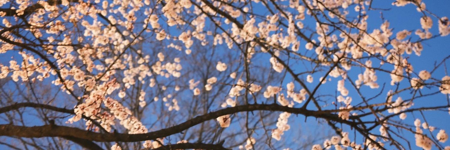 _lutfia's profile banner image