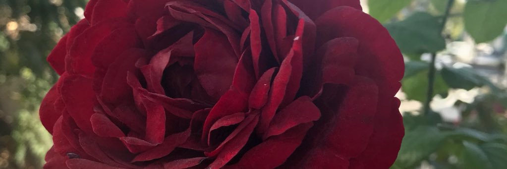 Mansur__'s profile banner image