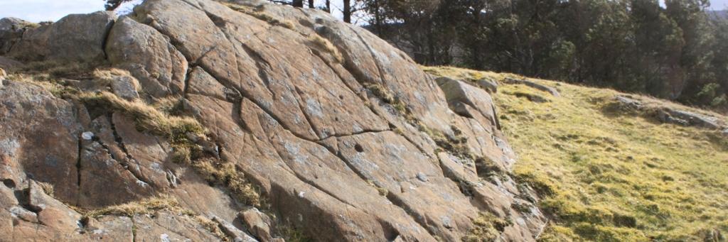 caespititious's profile banner image