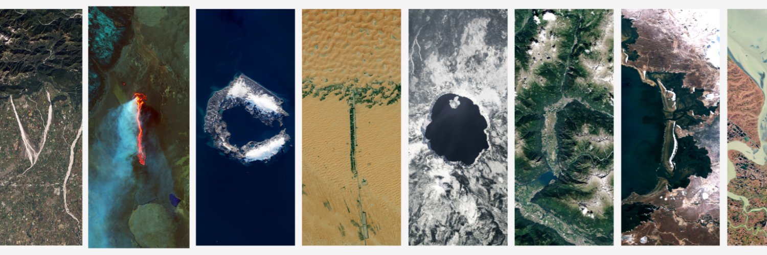 Victoria Shepherd banner