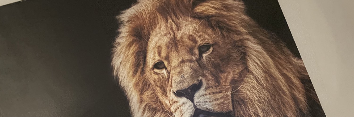 _Ralphh23's profile banner image