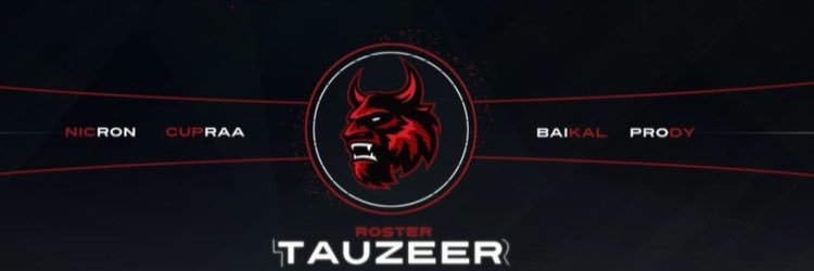 Tauzeer banner