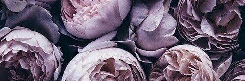osipova_katya's profile banner image