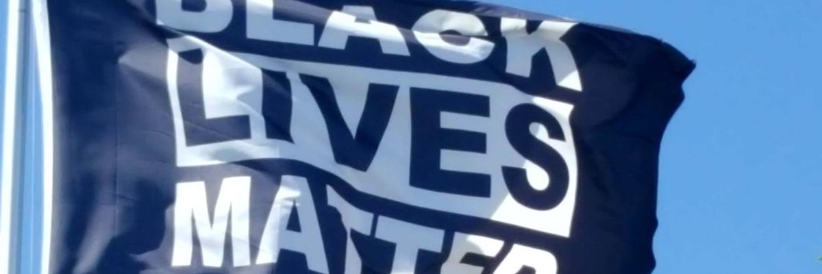 Shauno banner