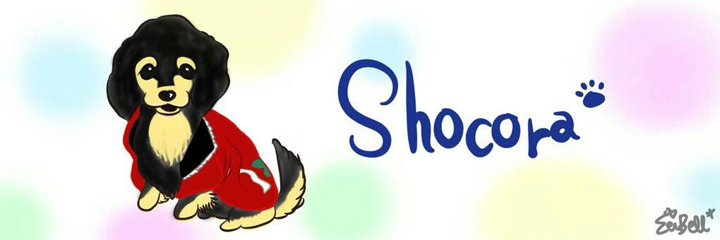 junjun_shocora's profile banner image