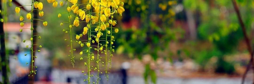 athulkrishnanbl's profile banner image