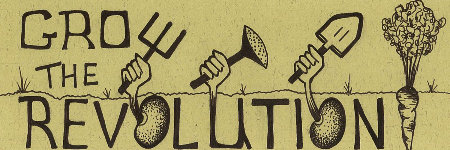 edu_sor's profile banner image