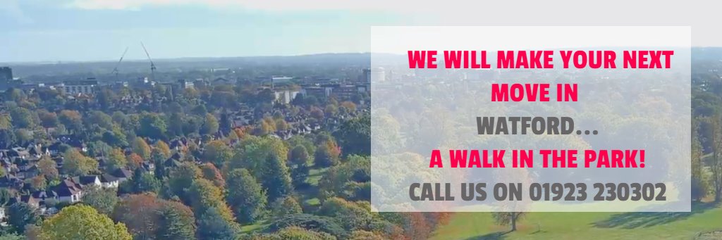 Marshall Vizard banner