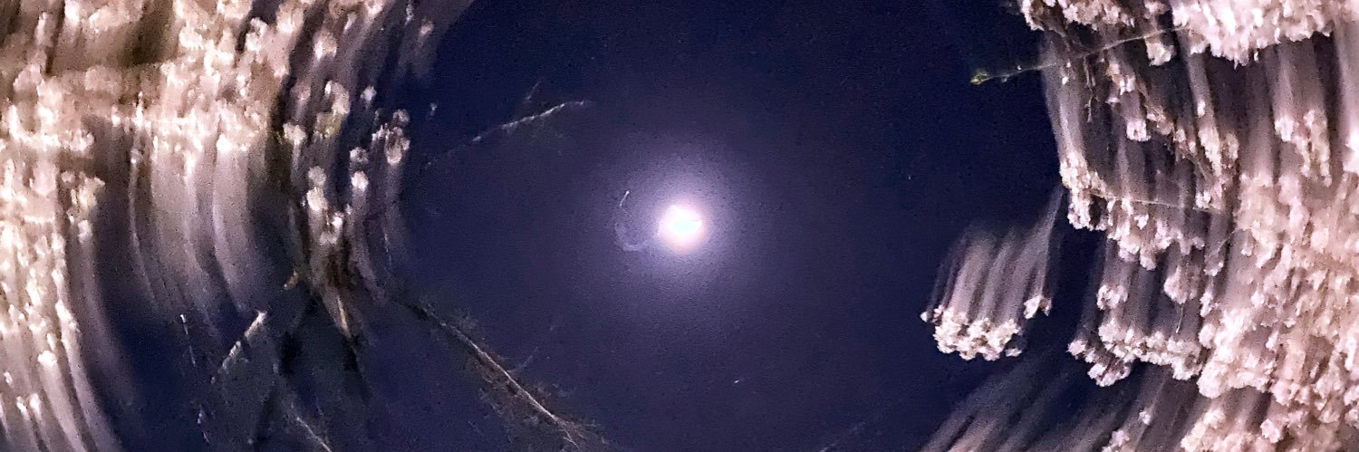 first man banner