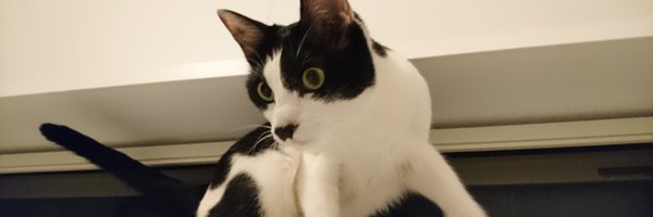 kkumochan Profile Banner