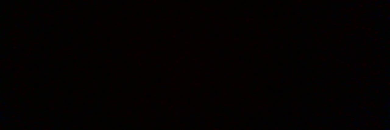 BrandonanWillow's profile banner image