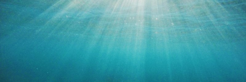 Feliohm's profile banner image