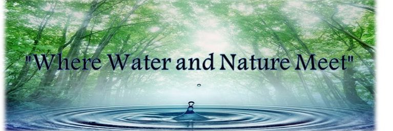 MaskamWater's profile banner image