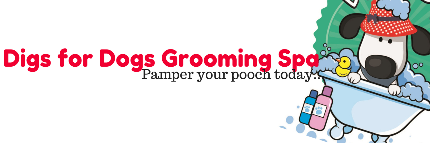 DigsGroomingSpa's profile banner image