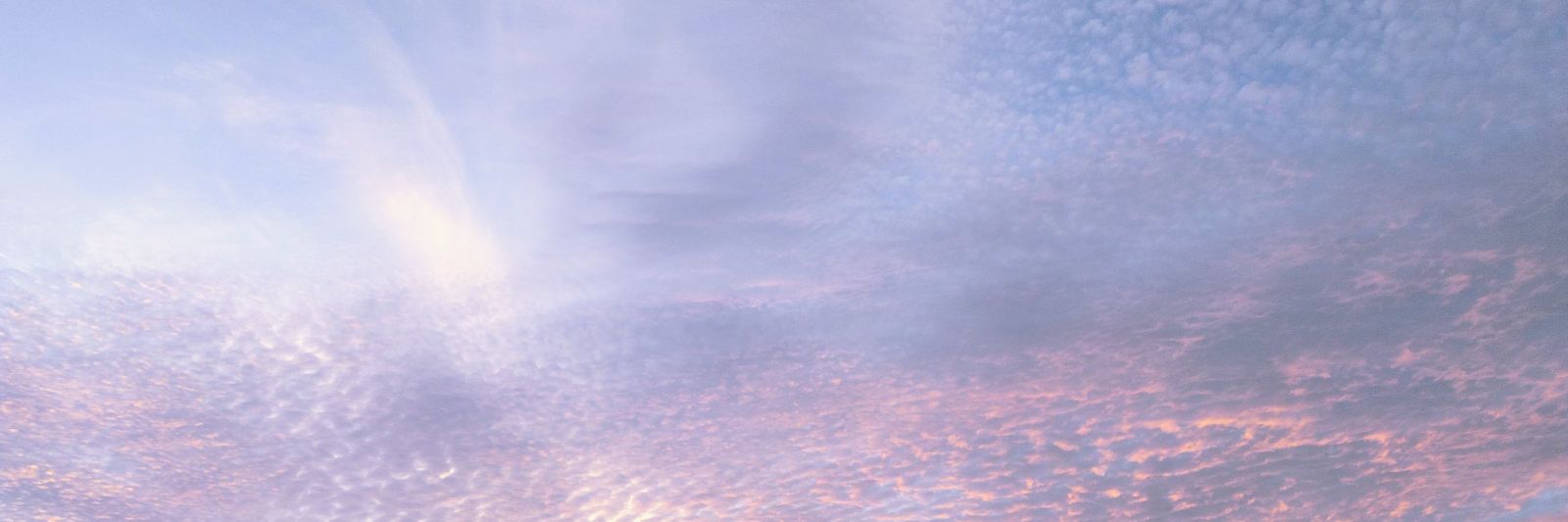 エ|レ|イ|ン✨🐑 banner