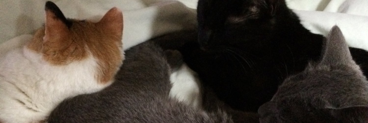 GoldPCat's profile banner image