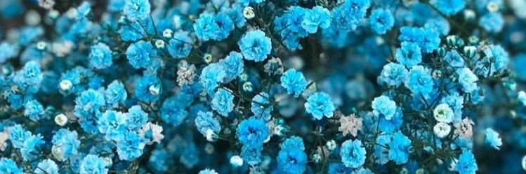 sharonkirigo's profile banner image