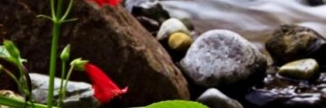 aritea470's profile banner image
