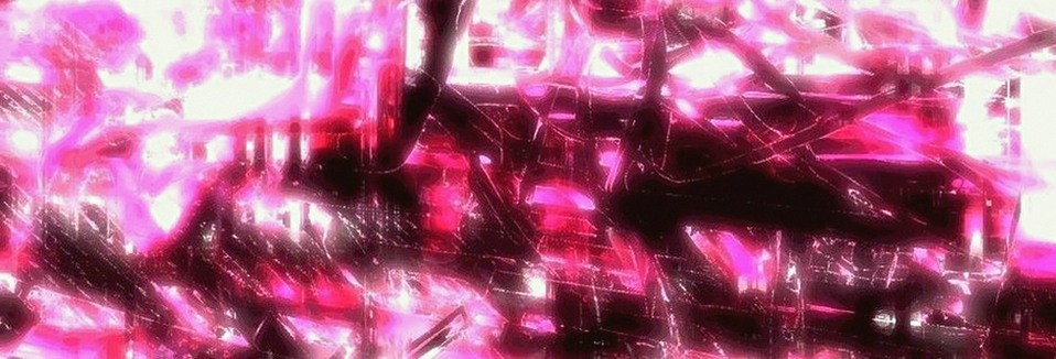 sofiaax91f8's profile banner image
