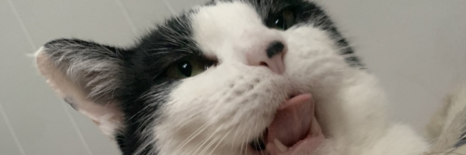 Bubby_spams's profile banner image