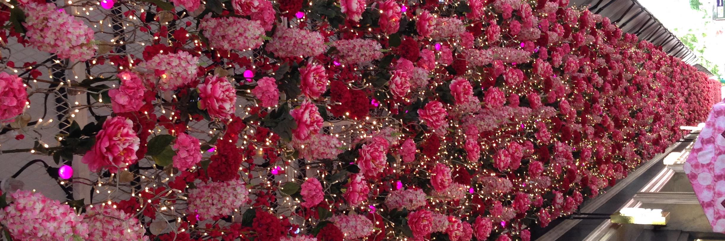 RoseAmbre's profile banner image