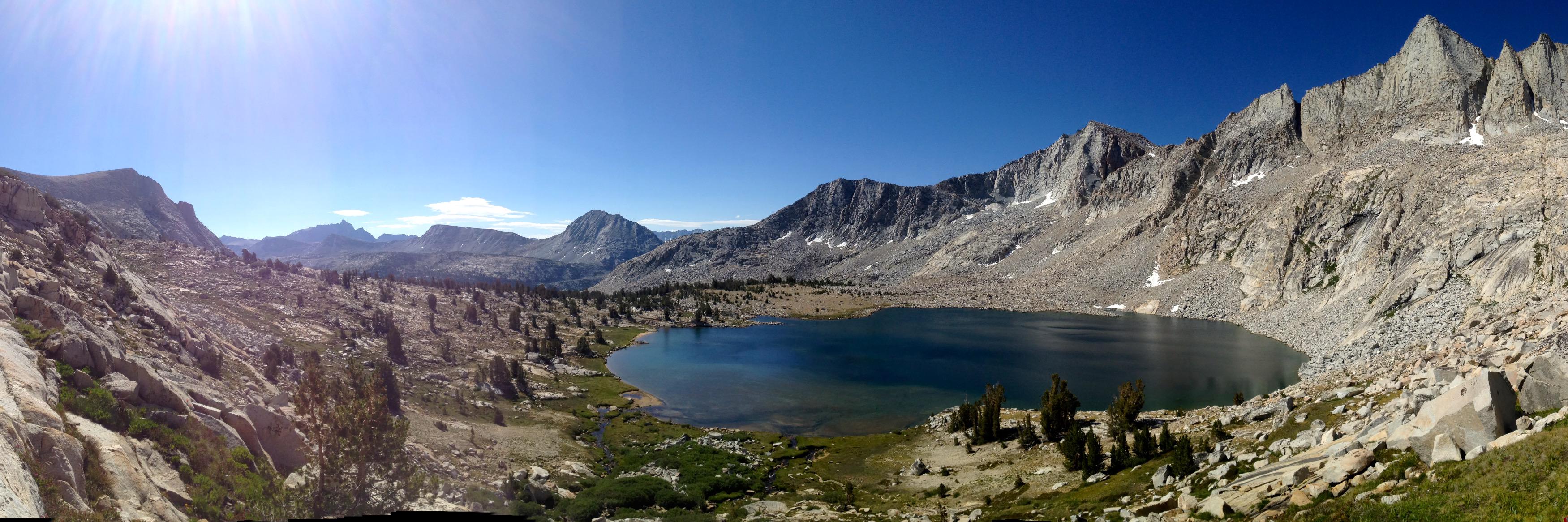 Laura Murphy, DO CAQSM banner