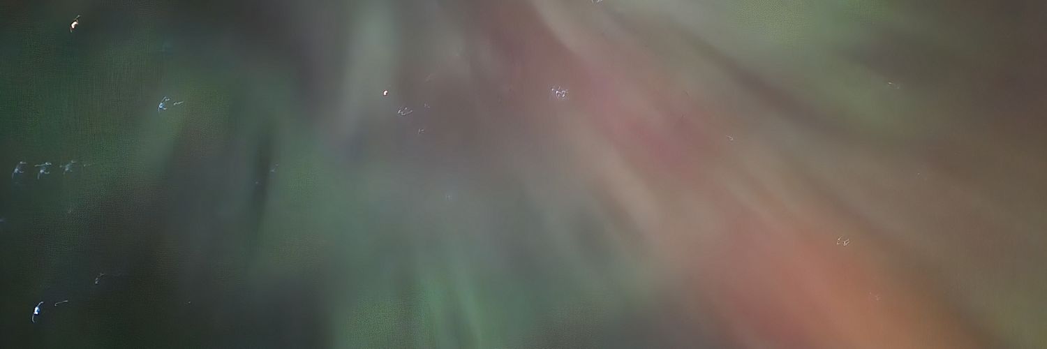 shinyzacian's profile banner image