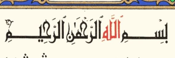 everywhere 00v8i banner