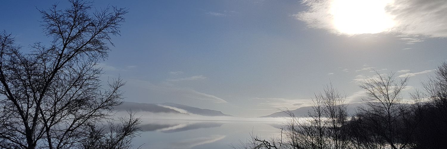 Stephen Roworth banner